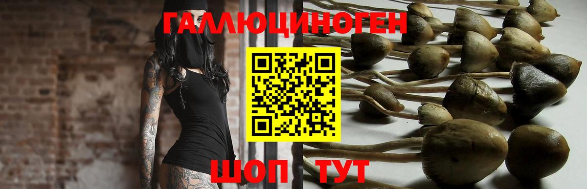 наркотики  Псилоцибиновые грибы Magic Shrooms  Галлюциногенные грибы GOLDEN TEACHER  Вход с VPN  Артёмовский 